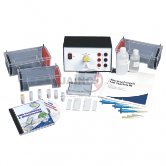 Electrophoresis Equipments