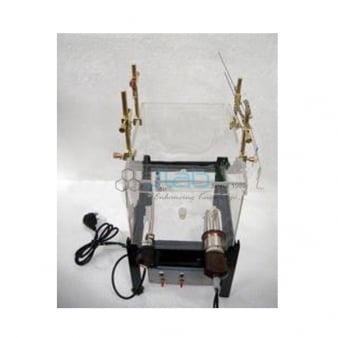 Apparatus Isolated Uterus Intestine