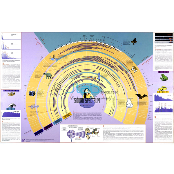 Sound Spectrum Chart