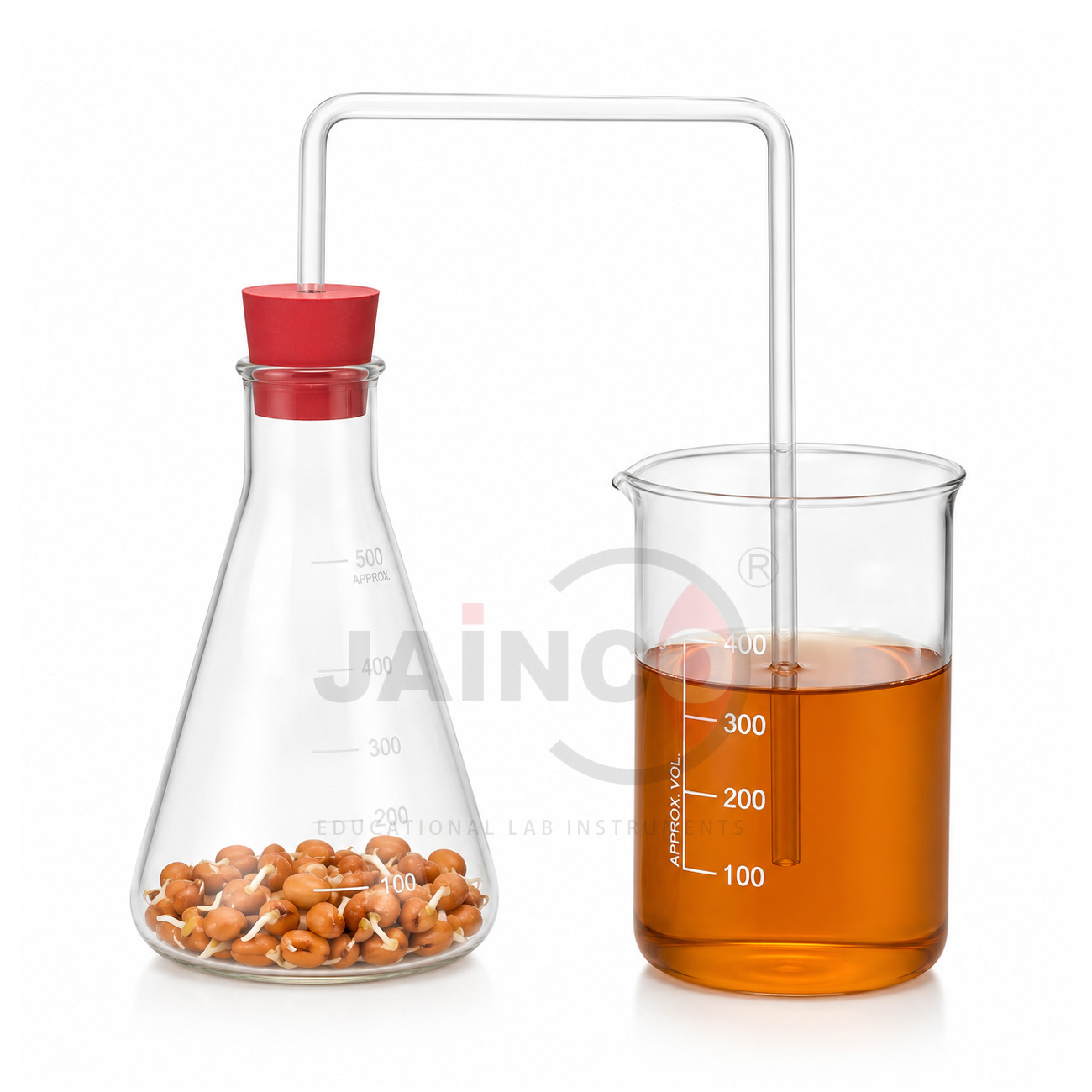 Germinating Seed Respiration Demonstration Kit