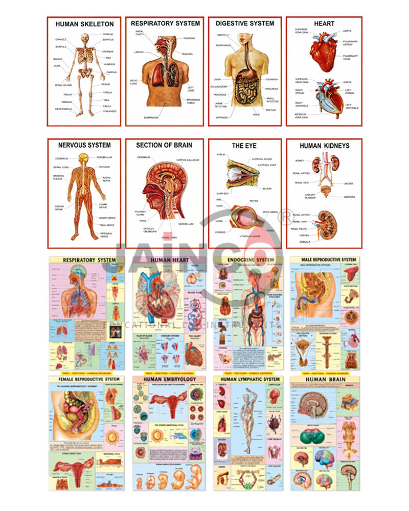 Teaching Boards