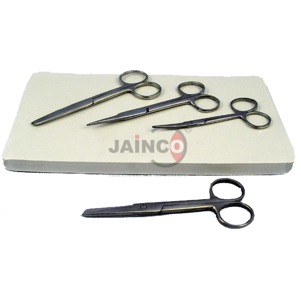 Dissecting Scissors 145mm