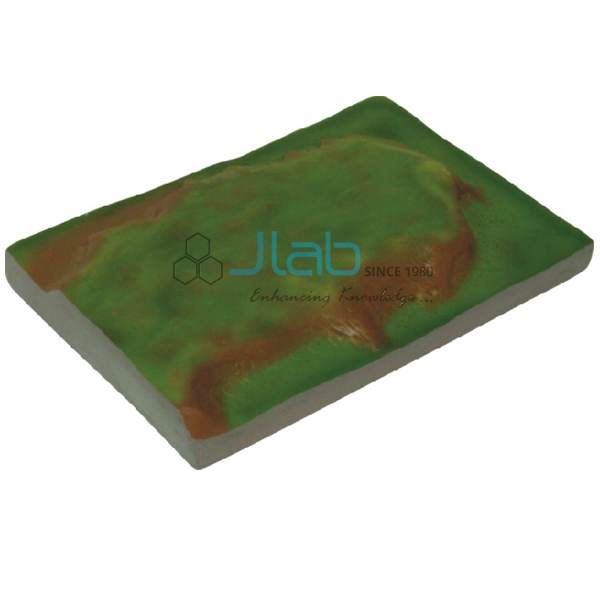 Plateau Model
