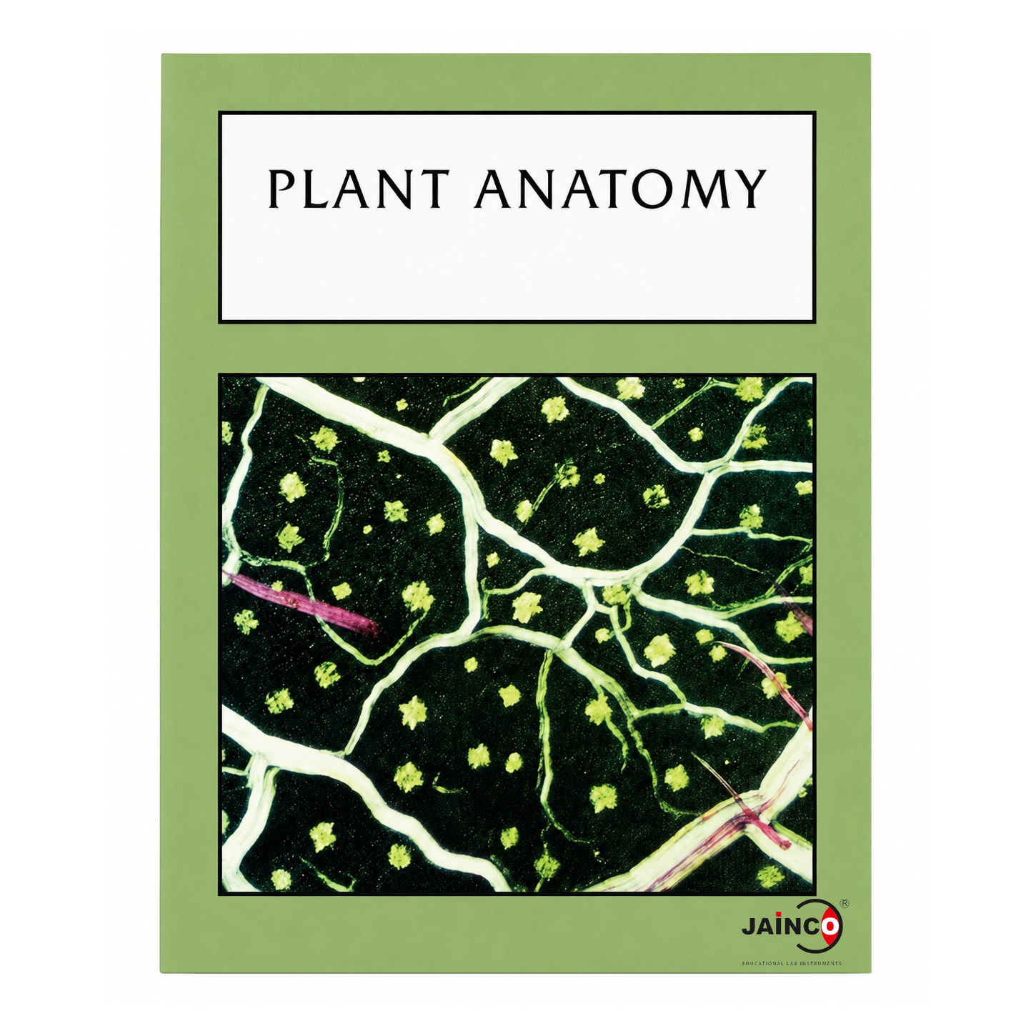 Biology 5 (Plants 1) Student Workbook