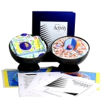 Plant and Animal Cell Model Activity Set