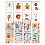 Teaching Boards