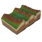 Horsts and Grabens Model