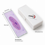 Paramecium