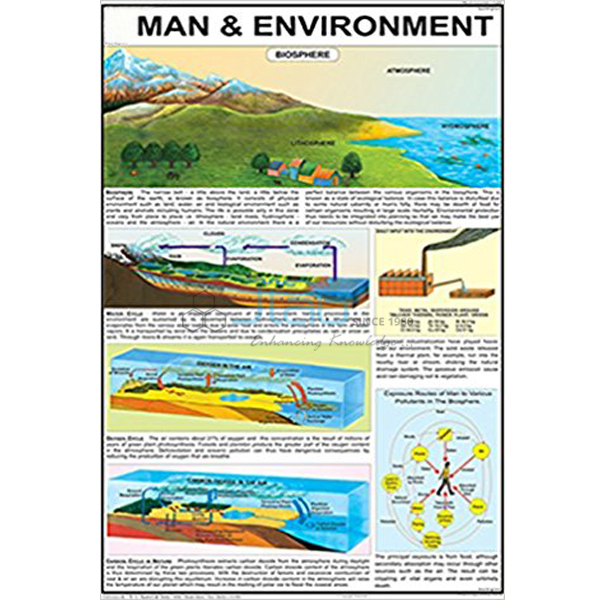 Man and Environment