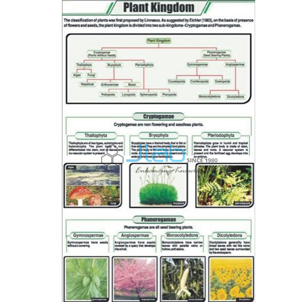 Educational Charts For Engineering