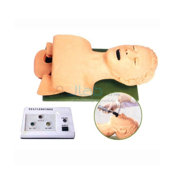 Life Support Training Models