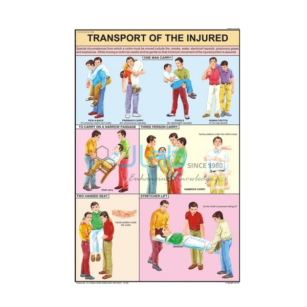 Transport of the Injured Chart