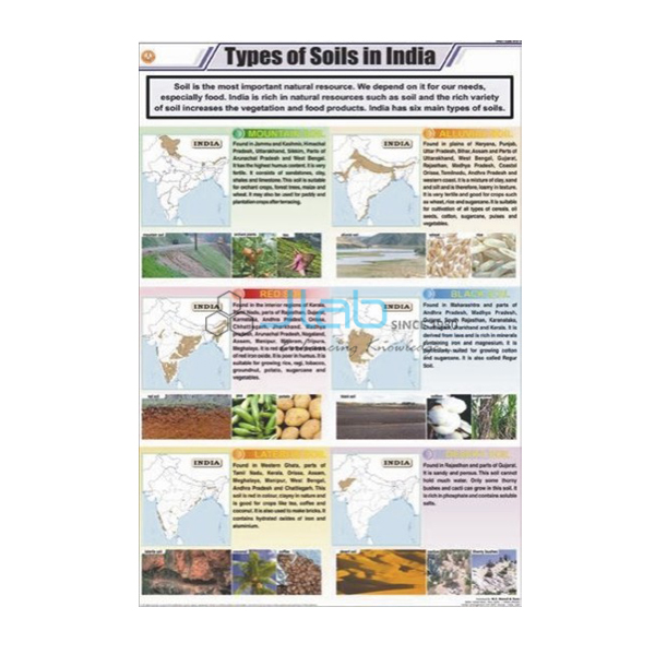 Types of Soils in India