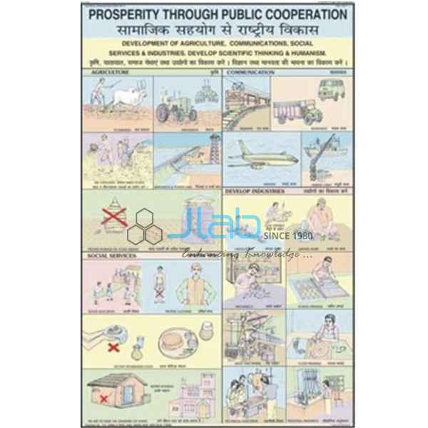 Prosperity Through Public Cooperation Chart