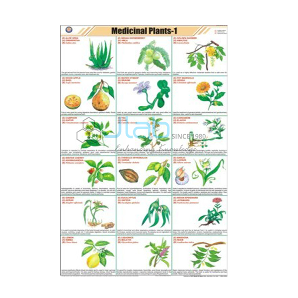 Medicinal plants - I