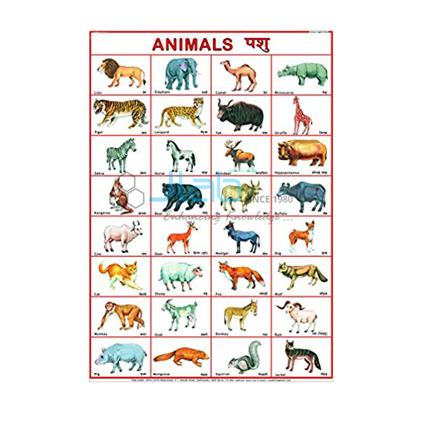 Animals Chart