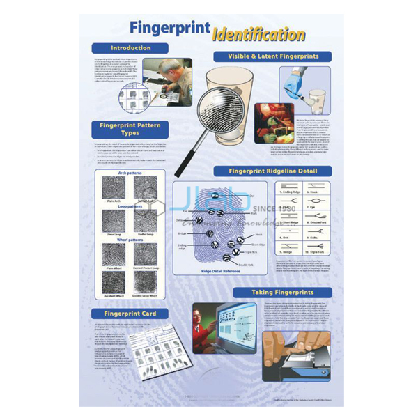 Poster Fingerprint Identification (Laminated)