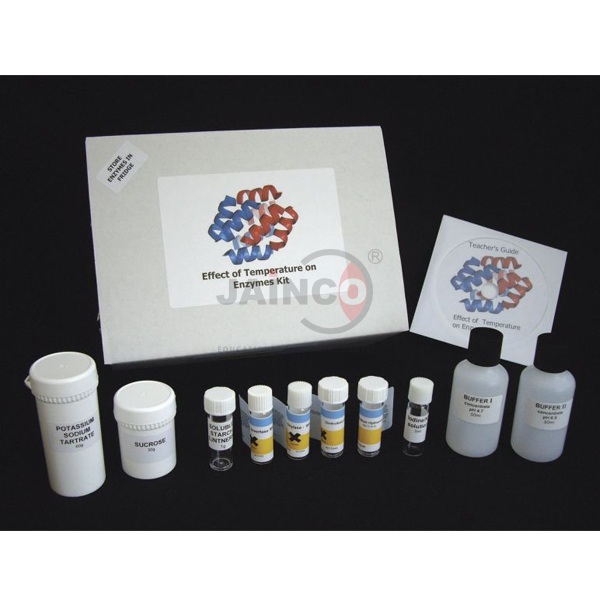 Effect of Temperature on Enzymes kit