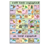 Tamil Alphabet Chart