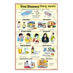 Viral Diseases Chart