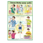 Clean Body Chart