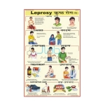Leprosy Chart