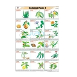 Medicinal plants - I