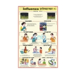 Influenza Chart