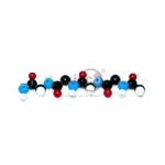 Polypeptide Molecular Model Kit