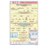 Organization of NCC Chart