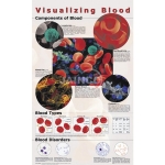 Visualizing Blood Poster