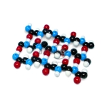 Protein Beta Pleated Sheet Molecular Model Kit