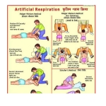Artificial Respiration Chart