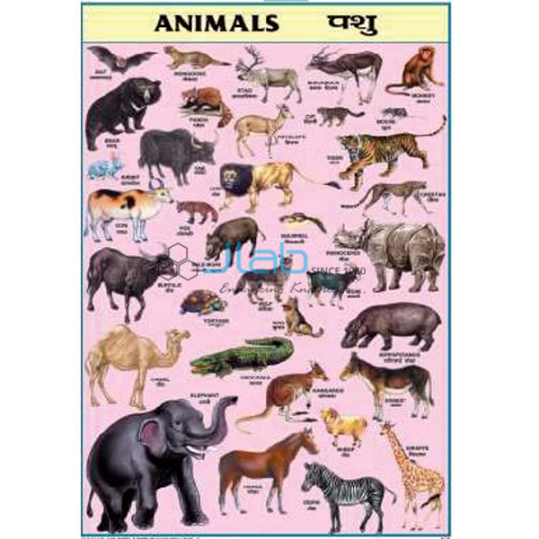 Special Charts