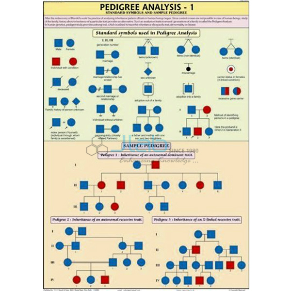 Genetics and Evolution Charts