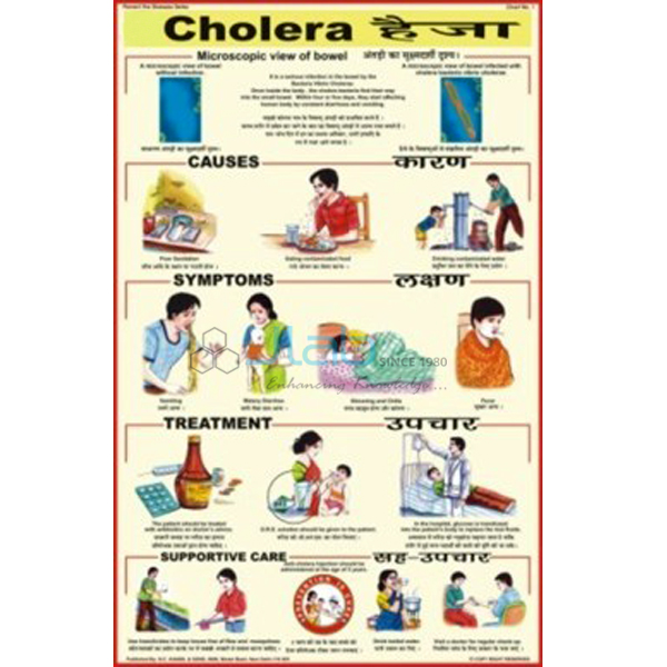 Prevent Diseases