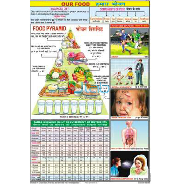 Food And Nutrition