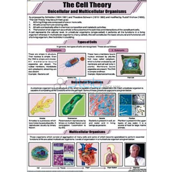 General Science Charts
