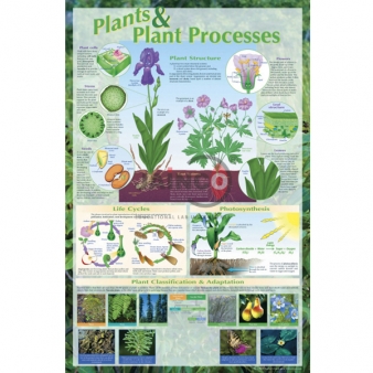 Plant Equipment