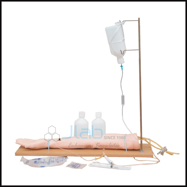 Injectable Training Arm Model