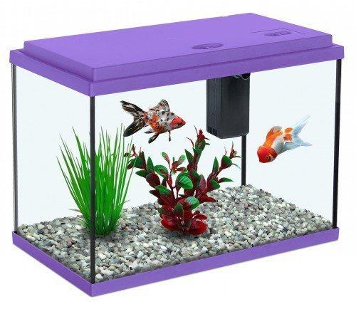 Fresh Water Aquarium with Stand