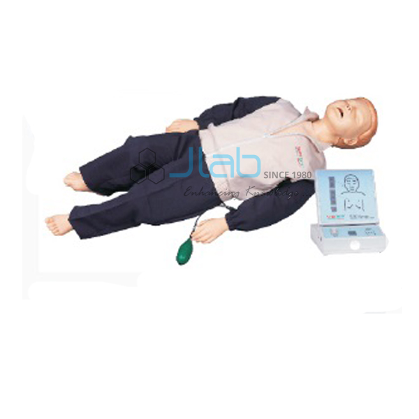 CPR Training Manikin