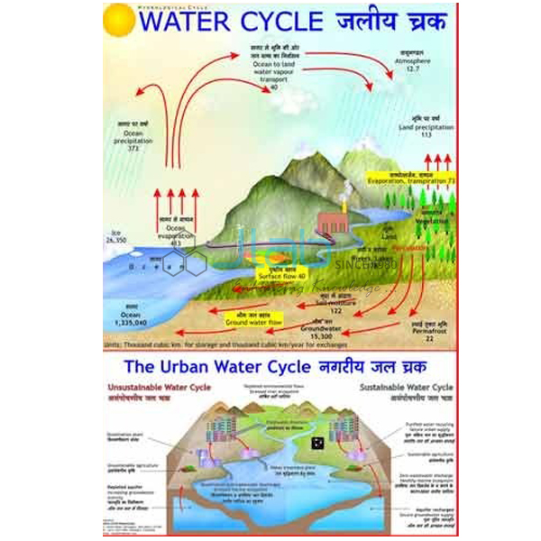 Water Cycle In Nature Chart