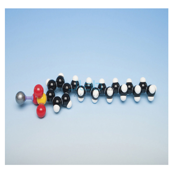 Detergent Molecular Model Kit