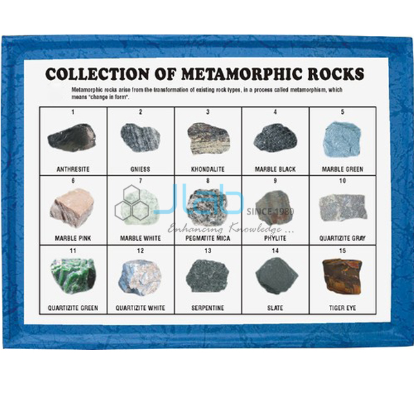 Collection of 15 Metamorphic Rocks