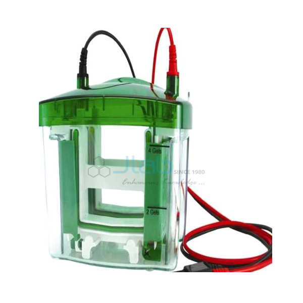 Vertical Electrophoresis System
