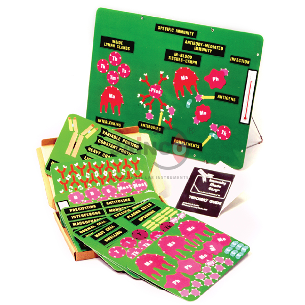 Teaching About Immunity Kit