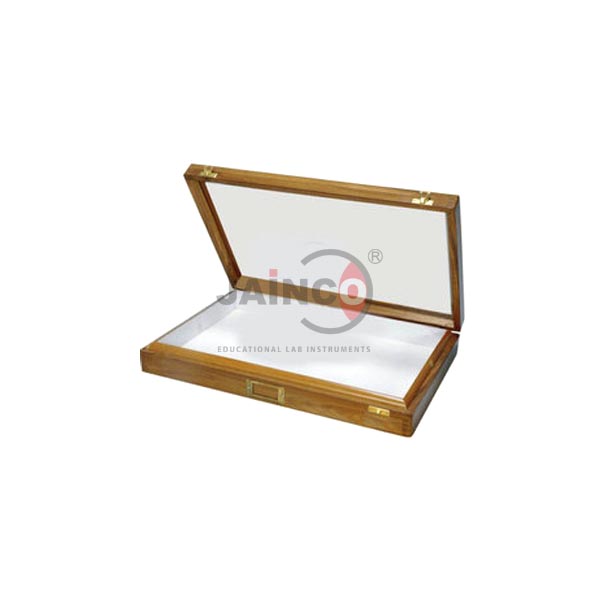 Insect Storage Box