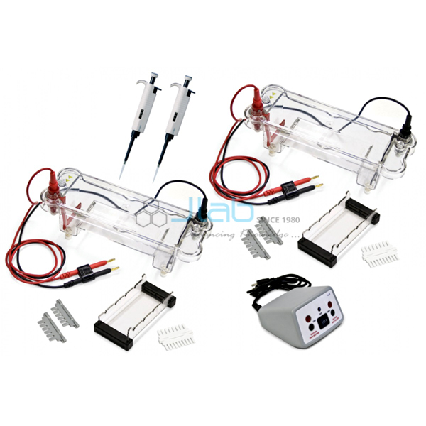 Electrophoresis Dual Station