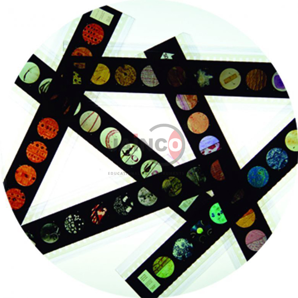 The Planets Microslide